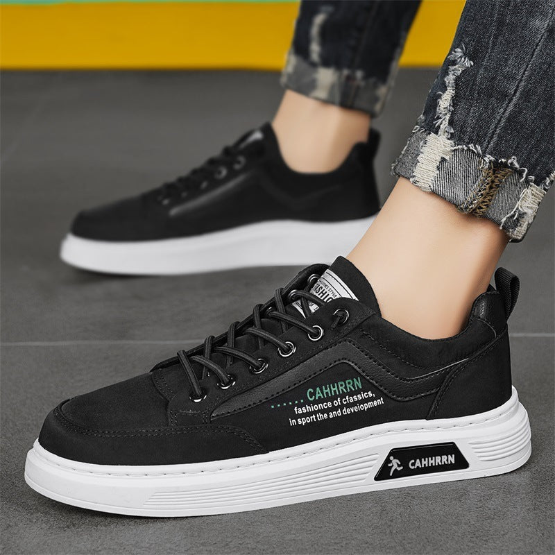 Men’s Low-Top Board Shoes – Casual Elastic Band Sneakers - Daily Goods