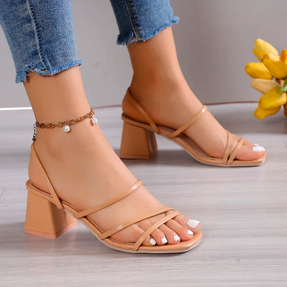 S99291fc00a114c9f8e2a5642fdf80d26s